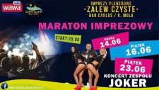 Koncert zespołu Joker